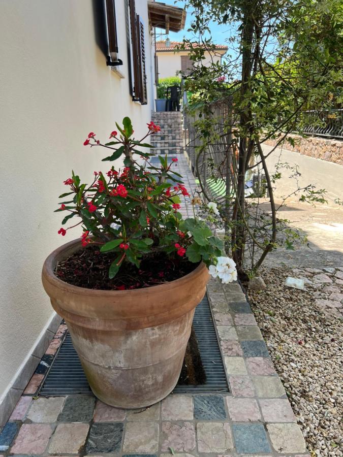 L'Essenziale Apartment Pula Luaran gambar